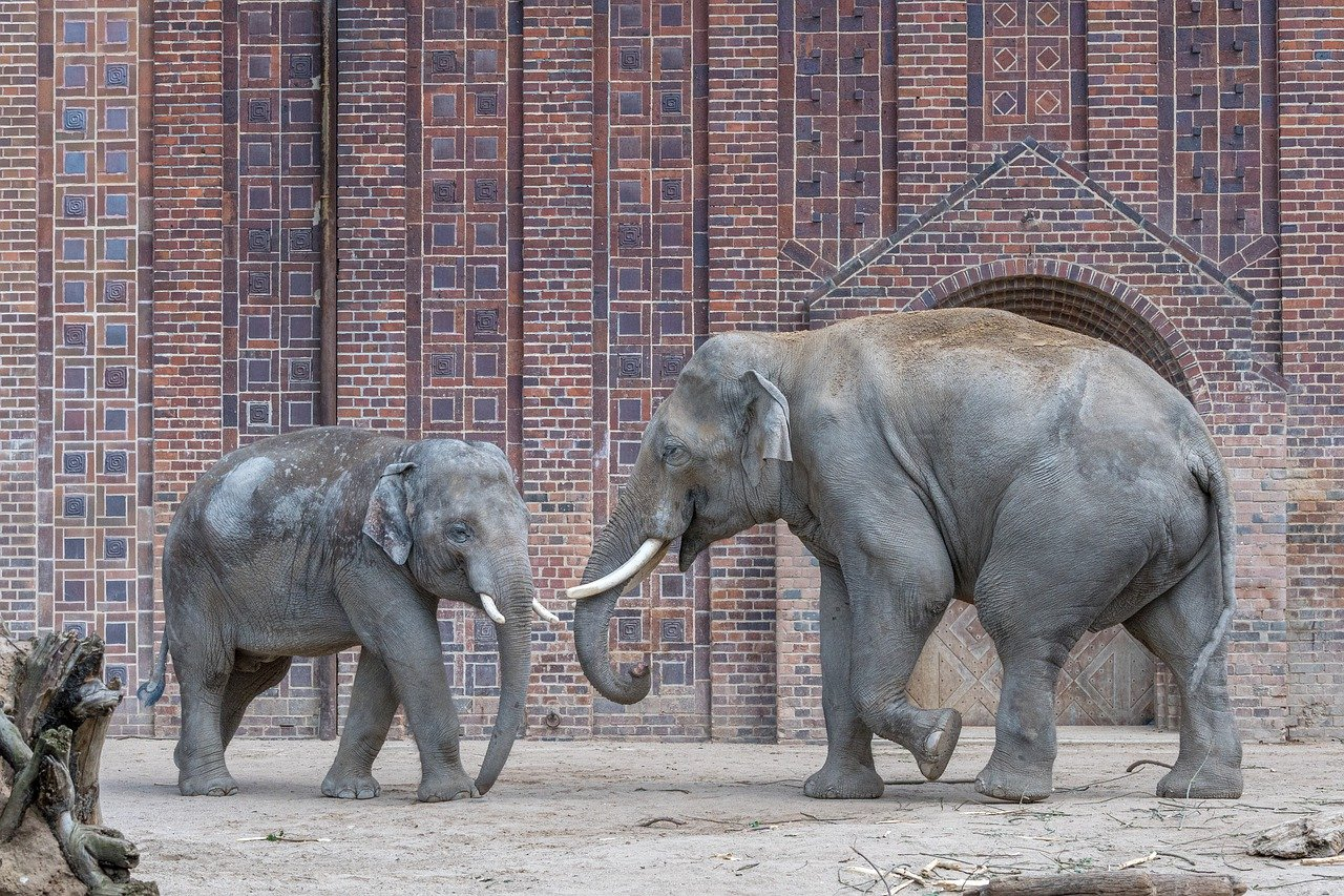 Zoo-Leipzig