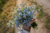 WildblumenstrÃ¤uÃe â Nachhaltig, individuell, zeitlos schÃ¶n