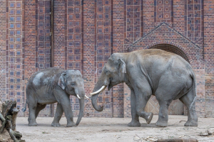 Zoo Leipzig